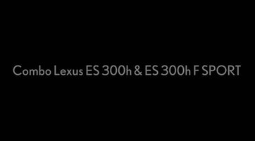 2021 Lexus ES 300h&300h F SPORT COMBO