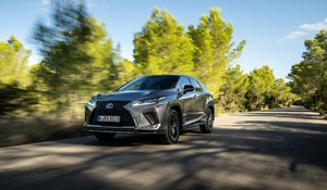 Lexus RX 2020