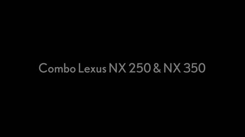 2021 Lexus NX 250&350 COMBO H264