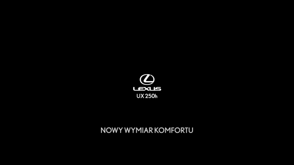 UX 250H NOWY WYMIAR KOMFORTU 60s