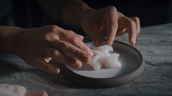 Lexus tvorí – kulinárske perspektívy