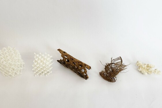 CHITOFOAM BY CHARLOTTE BÖHNING & MARY LEMPRES