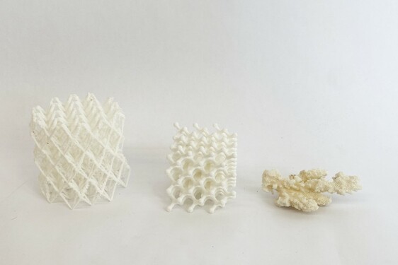 CHITOFOAM BY CHARLOTTE BÖHNING & MARY LEMPRES