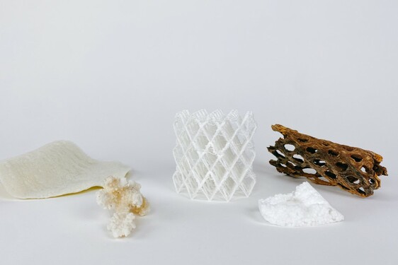 CHITOFOAM BY CHARLOTTE BÖHNING & MARY LEMPRES