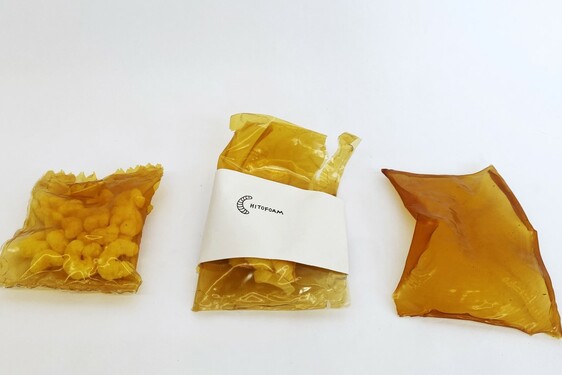 CHITOFOAM BY CHARLOTTE BÖHNING & MARY LEMPRES