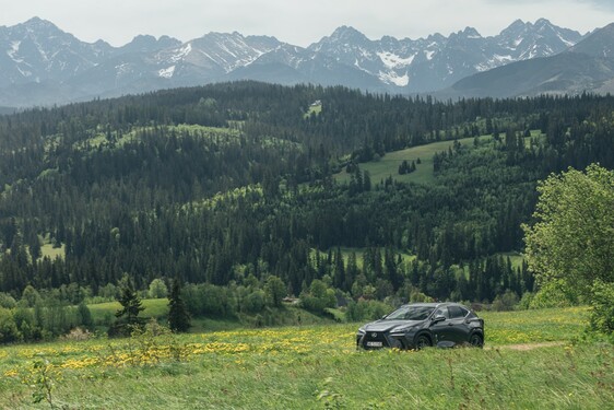 NX 450h+ 2022