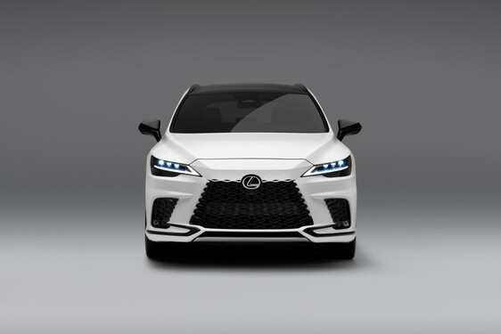 RX 500H F SPORT WHITE IN STUDIO 2022