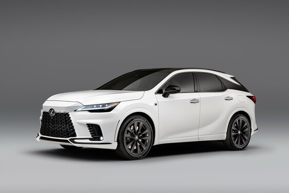 RX 500H F SPORT WHITE IN STUDIO 2022