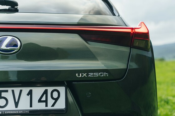 UX 250h 2022