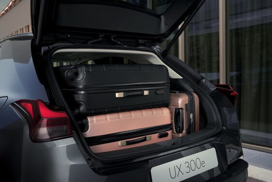 UX 300e 2023