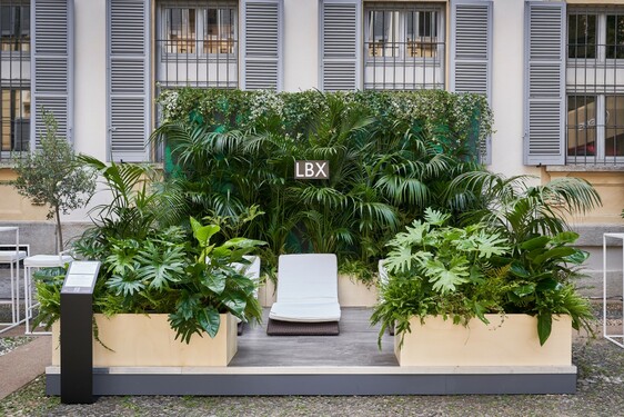 Lexus LBX Everyday Extraordinary