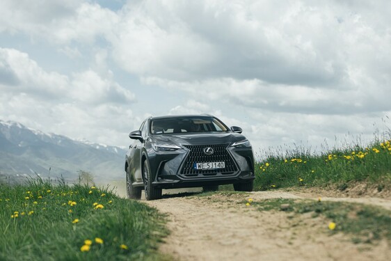 Lexus NX 2022
