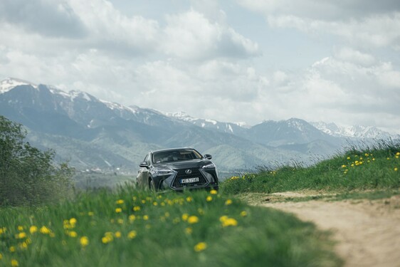 Lexus NX 2022