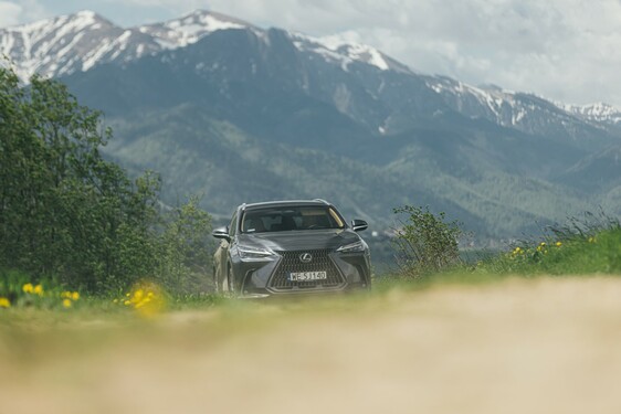 Lexus NX 2022