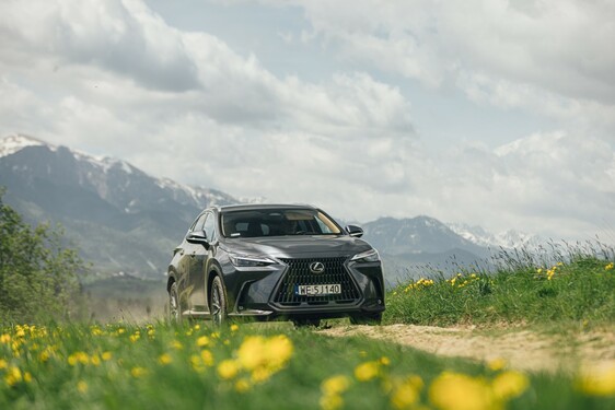 Lexus NX 2022