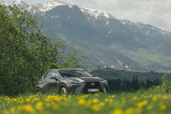 Lexus NX 2022