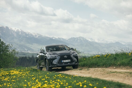 Lexus NX 2022