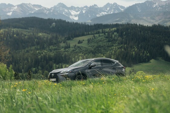 Lexus NX 2022