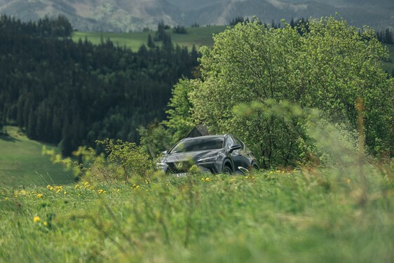 Lexus NX 2022