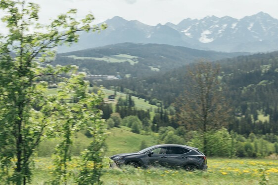 Lexus NX 2022