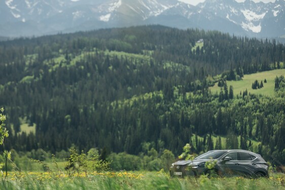 Lexus NX 2022