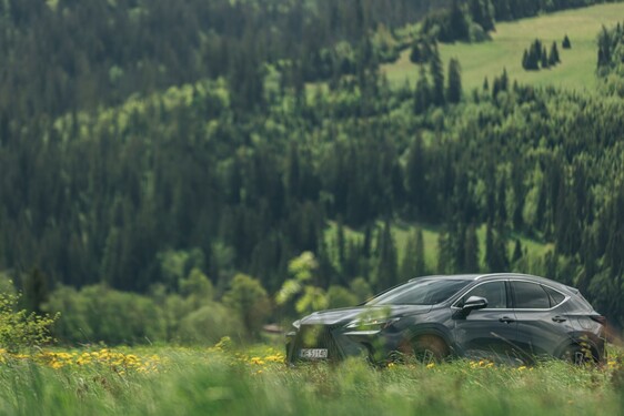 Lexus NX 2022