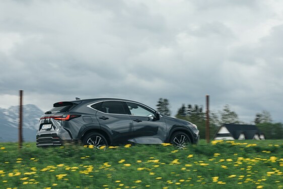 Lexus NX 2022