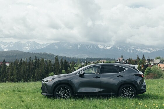 Lexus NX 2022
