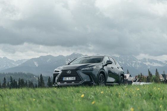 Lexus NX 2022