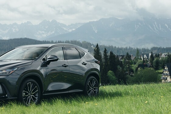 Lexus NX 2022
