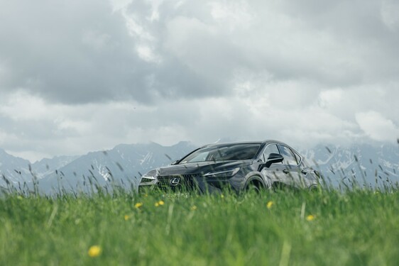 Lexus NX 2022