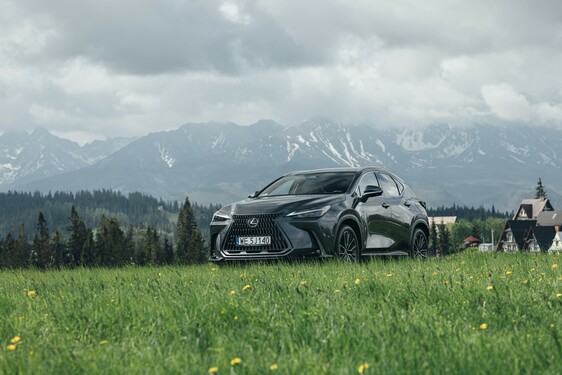 Lexus NX 2022
