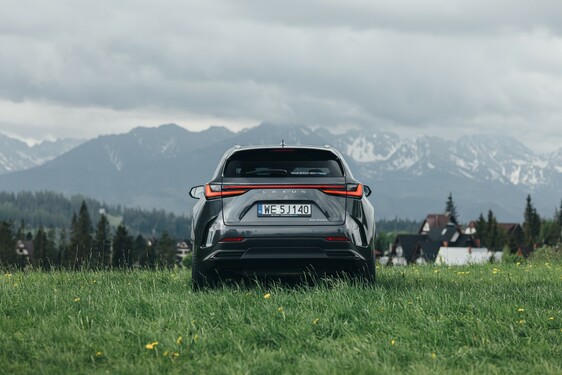 Lexus NX 2022
