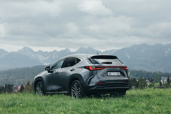 Lexus NX 2022