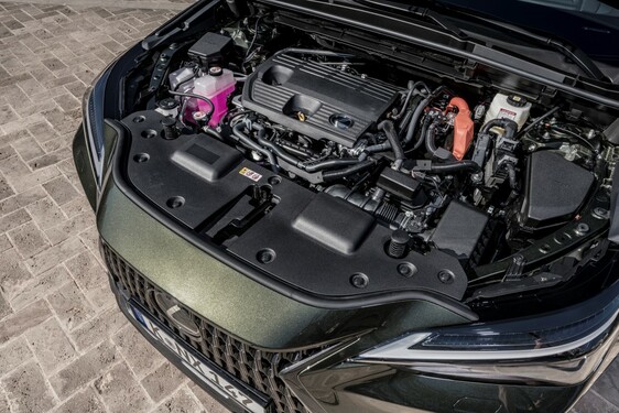 Lexus NX 2022