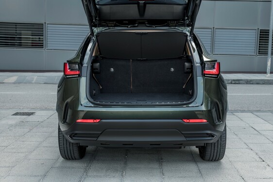 Lexus NX 2022