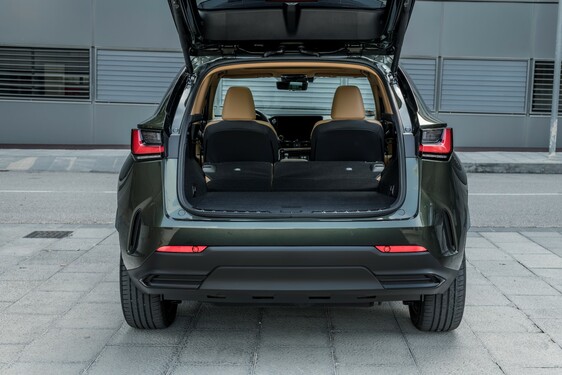 Lexus NX 2022