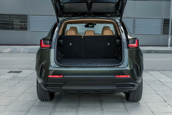 Lexus NX 2022