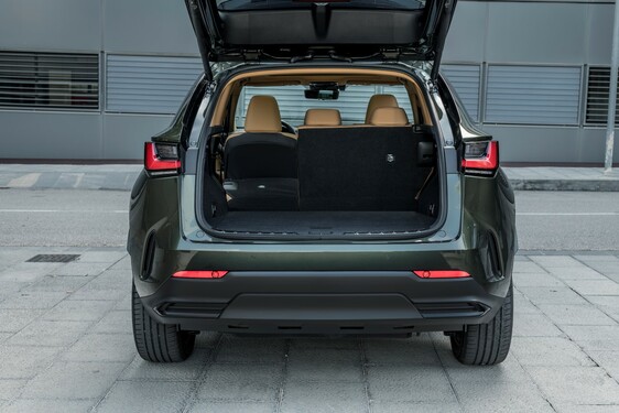 Lexus NX 2022