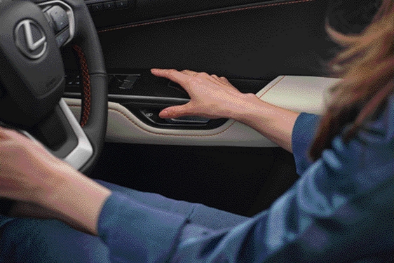 Lexus NX 2022