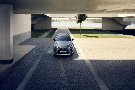 Lexus NX 2022