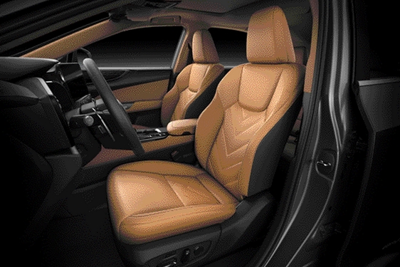 Lexus NX 2022