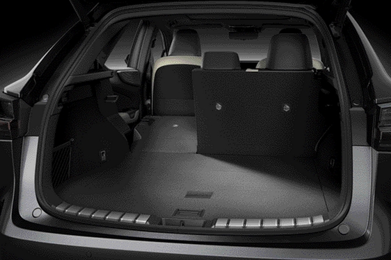 Lexus NX 2022