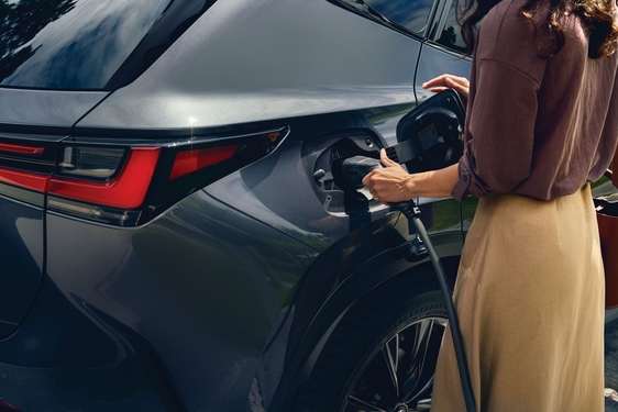 Lexus NX 2022