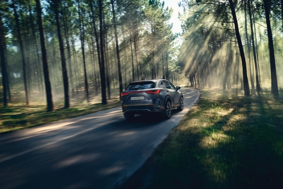 Lexus NX 2022