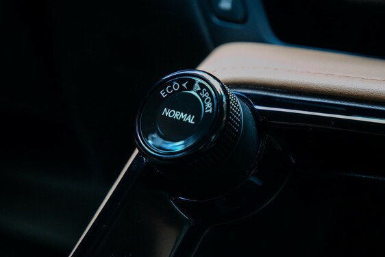 Lexus NX 2022
