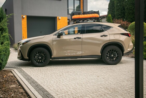 Lexus NX 2022