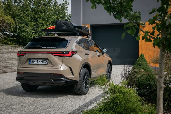 Lexus NX 2022