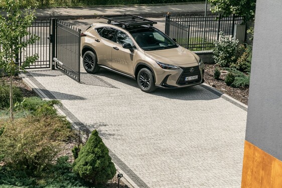 Lexus NX 2022