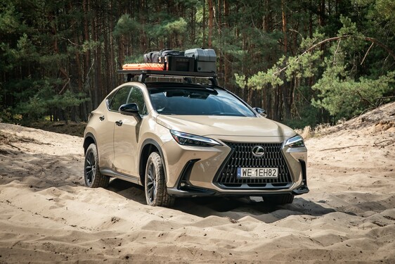 Lexus NX 2022